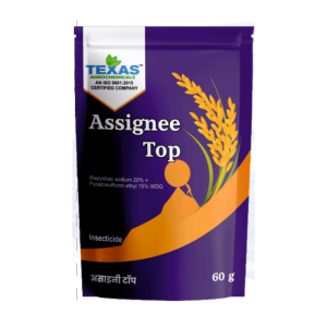 ASSIGNEE TOP</br><p style="color:#0066A7;font-size:13px;line-height: 1.3;margin-top: 8px;">aaaa</p>