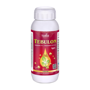 TEBULON</br><p style="color:#0066A7;font-size:13px;line-height: 1.3;margin-top: 8px;">Azoxystrobin 11% + Tebuconazole 18.3% SC</p>