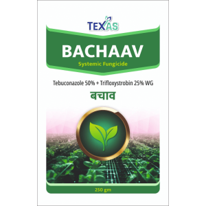 BACHAAV</br><p style="color:#0066A7;font-size:13px;line-height: 1.3;margin-top: 8px;">Tebuconazole 50% + Trifloxystrobin 25% WG</p>